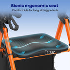 WalkLuxe™ — Where Comfort Meets Mobility.