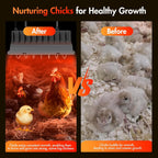 BroodNest HeatGuard™  Gentle warmth for growing chicks.