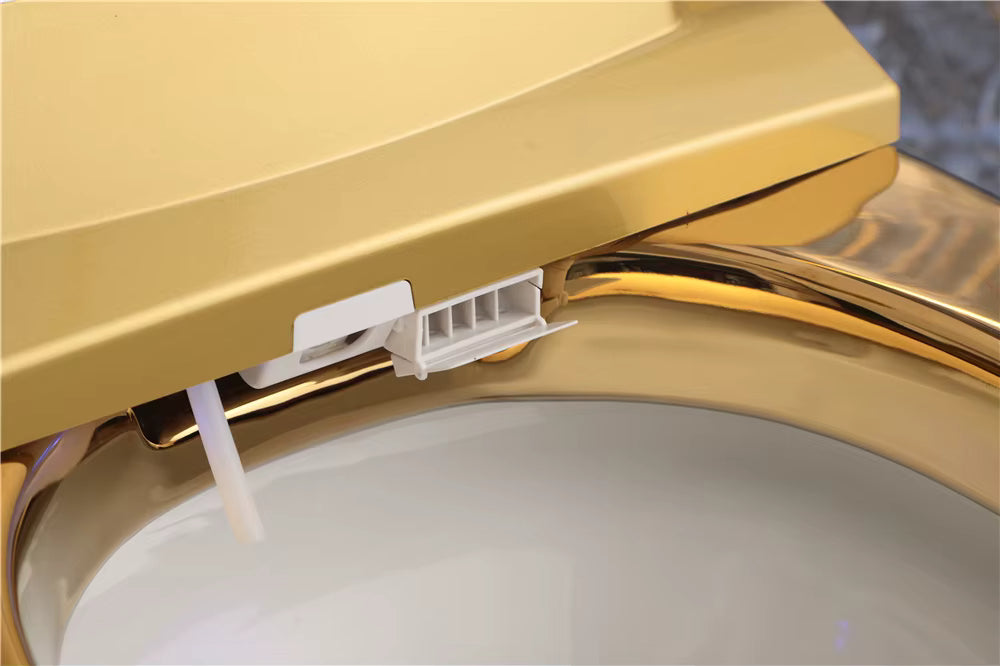 RoyaleGold IntelliSeat™  Smart cleansing crafted for royalty.