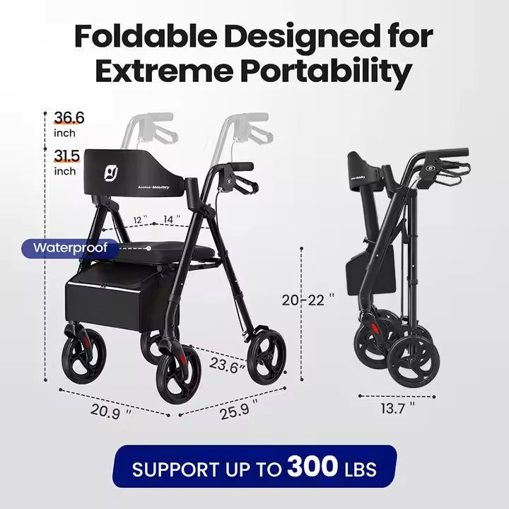 WalkLuxe™ — Where Comfort Meets Mobility.