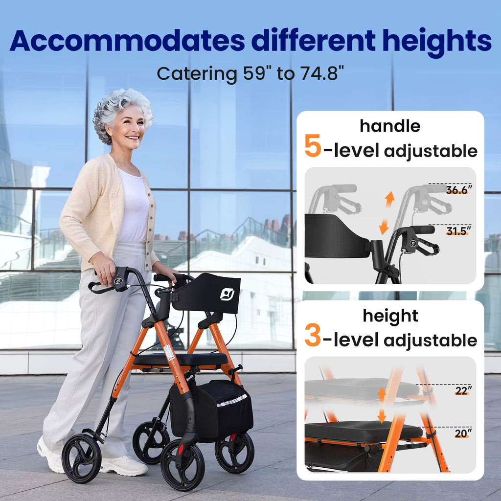 WalkLuxe™ — Where Comfort Meets Mobility.