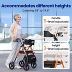 WalkLuxe™ — Where Comfort Meets Mobility.