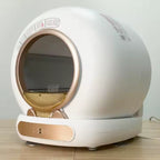 LitterLuxe™ — Luxury Meets Litter.