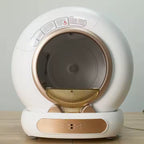 LitterLuxe™ — Luxury Meets Litter.