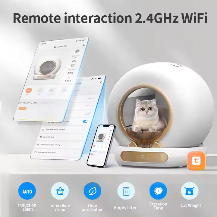 LitterLuxe™ — Luxury Meets Litter.