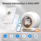 LitterLuxe™ — Luxury Meets Litter.